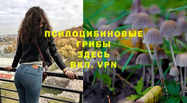 apvp Дмитровск